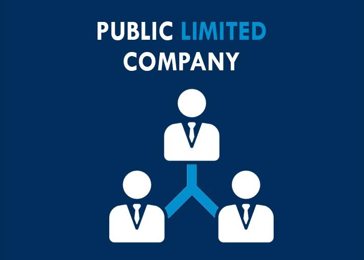 Public Limited Company Registration Service