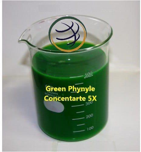 Swadesh Green Floor Cleaner Concentrate 5x