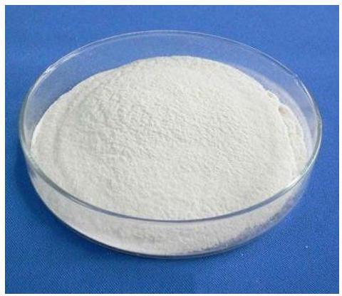 Calcium Lactate Powder, Packaging Type : Bag/drum
