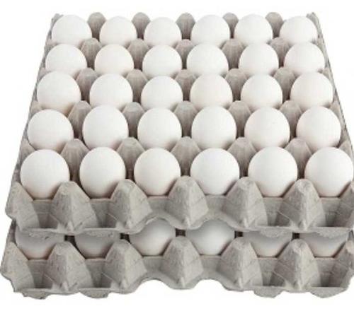 Paper Egg Trays, for Layer Farm, Feature : Fine Quality, Light Weight