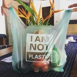 100% BIODEGRADABLE COMPOSTABLE CARRY BAGS