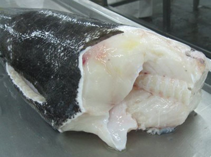 Black Cod Fish, for Food, Human Consumption, Style : Frozen