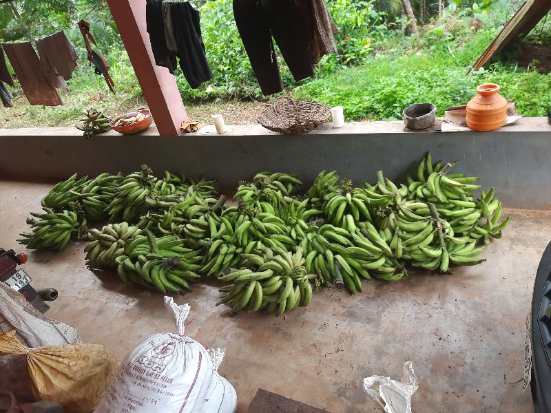 Valabail farms in Dakshina Kannada Supplier of Banana & Banana Flower