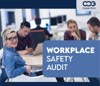 Workplace Health Safety Audit