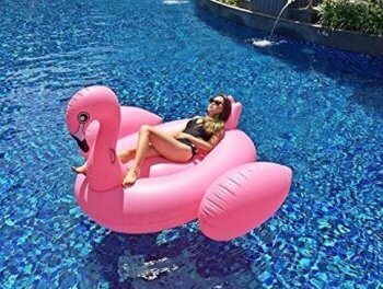 Flamingo Floats