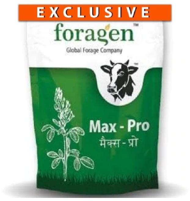 IAgriFarm® Alfalfa /Lucerne / kuthirai masal seeds Pack of 1kg