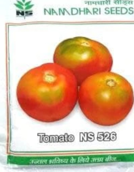 NS 526 (6H 16) TOMATO ( एनएस 526 टमाटर )