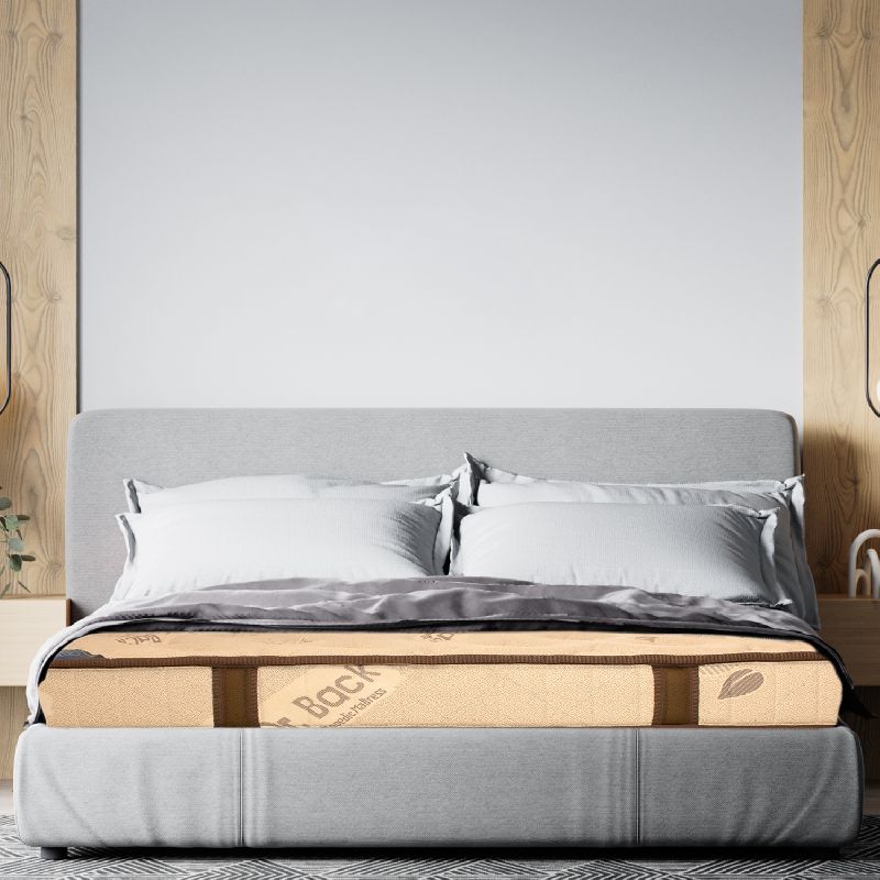 Dr. Back Duet Luxury Orthopaedic Mattress, Shape Rectangular at Rs