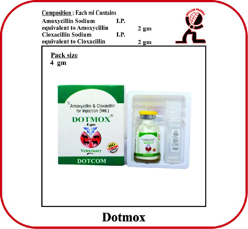 Amoxycillin Cloxacillin INJECTION DOTMOX 4 gm, for Veterinary Use, Packaging Type : Glass Bottle