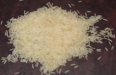 Organic Creamy Sella Basmati Rice, for High In Protein, Variety : Long Grain, Medium Grain, Short Grain