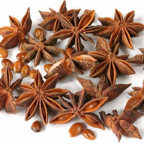 Vinayak Enterprise star anise seeds, Shelf Life : 1Year