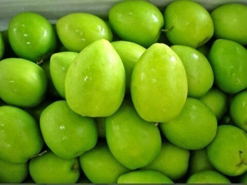 Organic Fresh Apple Ber, Color : Green