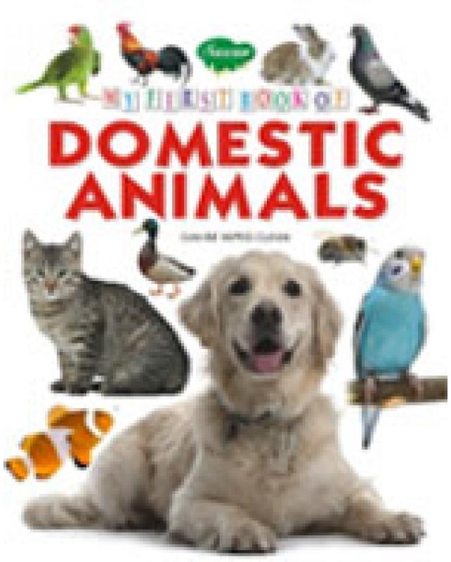 My First Book of Domestic Animal