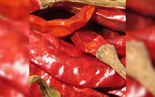 Dried S17 Teja Red Chilli