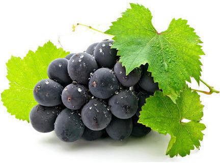 fresh black grapes