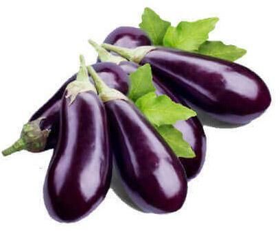 fresh brinjal