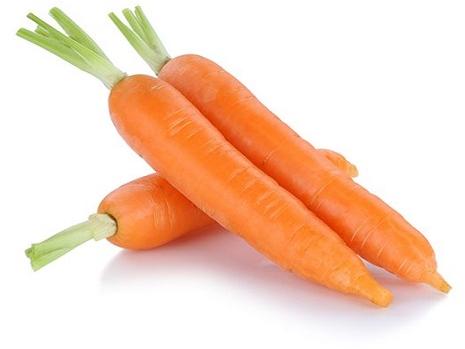 Organic Fresh Carrot, Style : Natural