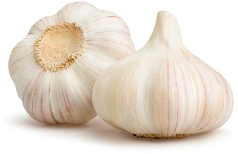 Organic fresh garlic, Color : White