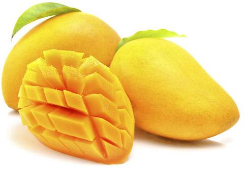 Organic fresh mango, Shelf Life : 5-10Days