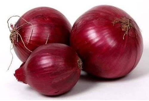 Natural fresh red onion, for Human Consumption, Cooking, Home, Hotels, Onion Size Available : Medium