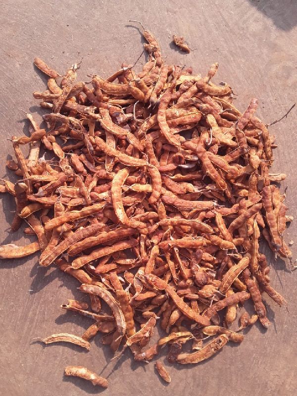 Dried Tamarind Pods, Grade Standard : Medicine Grade