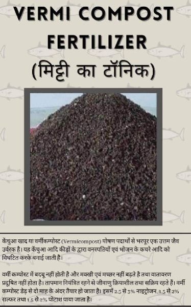 Vermicompost Powder