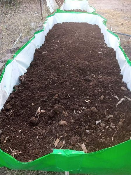 Vermicompost Powder