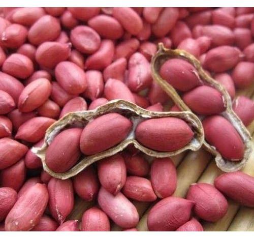 Whole Groundnut, Groundnut Kernels, Packaging Size : 25Kg, 50Kg, 40Kg