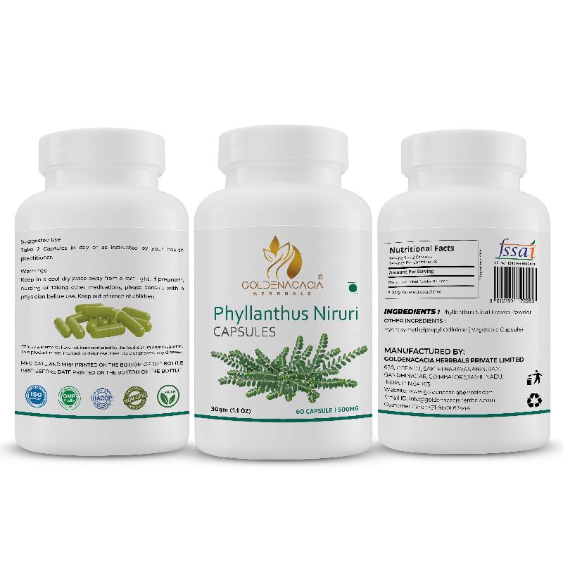 PHYLLANTHUS 500mg 60 CAPSULES