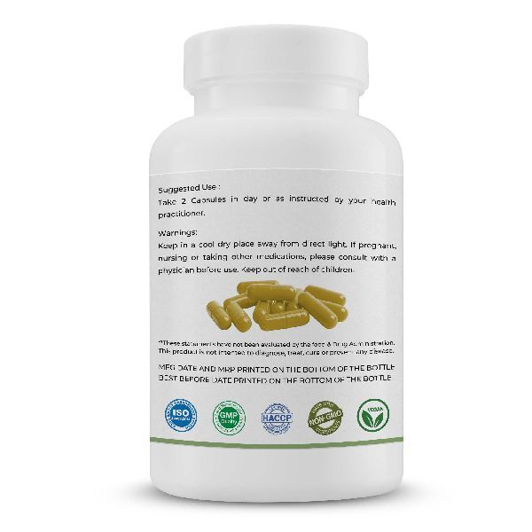 MORINGA SEED 500mg 30 CAPSULES