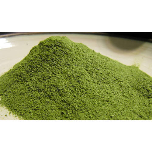 moringa leaf powder