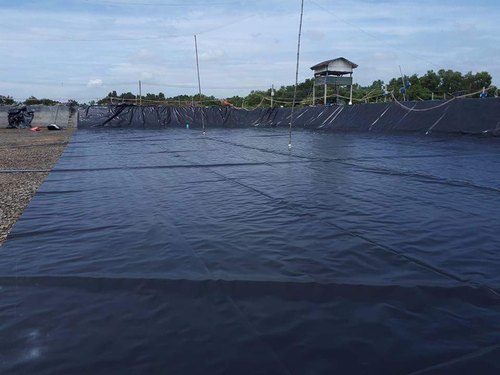 Plain HDPE Geomembrane Sheet, Color : Black