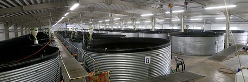Round  Steel Aquaculture Water Tank