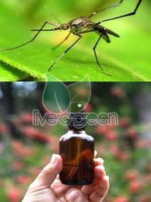 Earths Essence herbal mosquito repellent, Packaging Type : Plastic Bottle