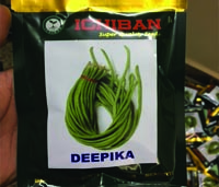 ICHIBAN Deepika Yard Long Beans, Shelf Life : 2 Years