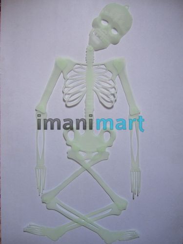 Plastic Human Skeleton
