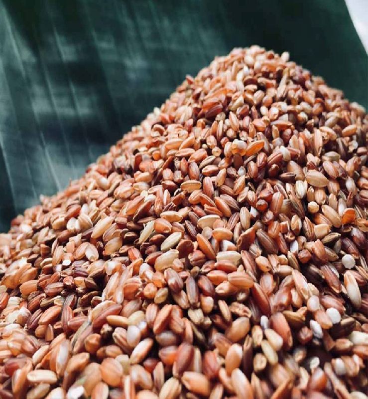 Organic Red Rice, for Cooking, Certification : FSSAI Certified