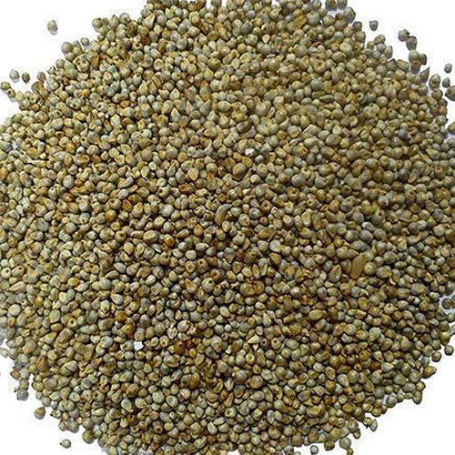 Millet Seeds, for Cooking, Style : Dried