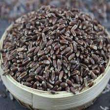 Black Wheat Seeds