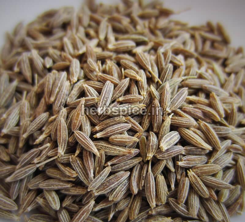 Raw Organic cumin seeds, for Cooking, Certification : FSSAI Certified