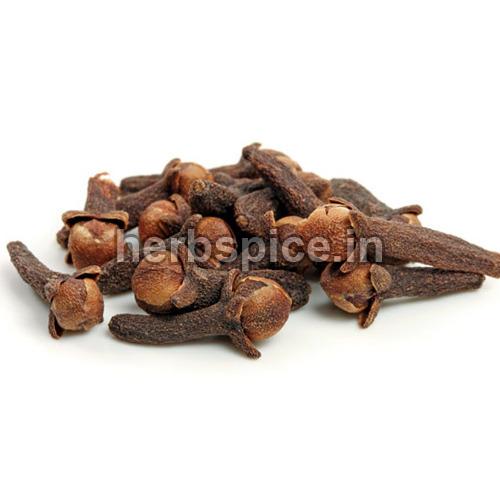 Brown Myrtus Caryophyllus, for Medicines, Style : Dried