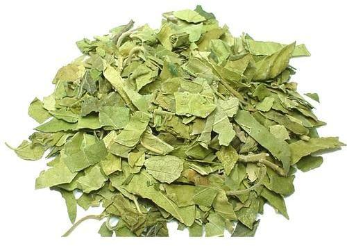 Organic Dried Gudmar, for Medicinal, Form : Powder
