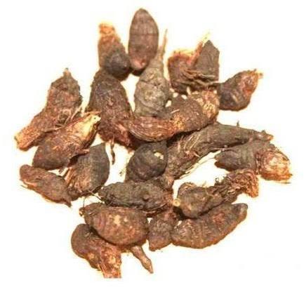 Organic Dried Nagarmotha , for Medicinal, Form : Powder