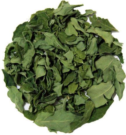 Organic moringa leaves, for Medicinal