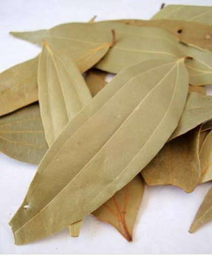 Bay Leaf, Form : Leaves