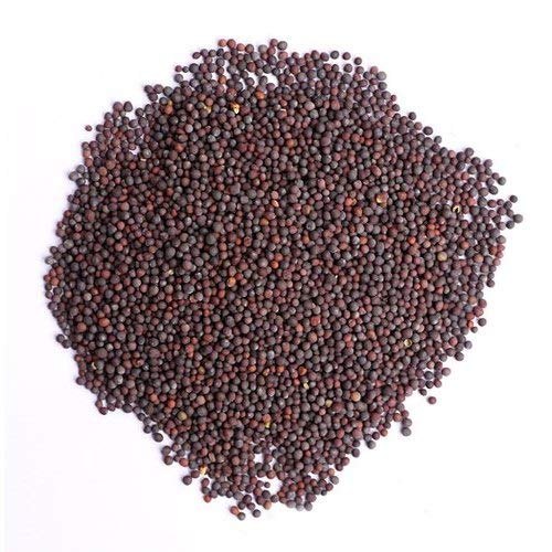 Natural Mustard Seeds, for Cooking, Spices, Food Medicine, Form : Solid
