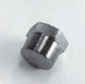 Polished Stainless Steel Pipe Hex Plug, for Plumbing, Size : Standard