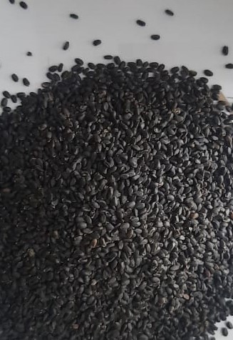 Tukamariya seeds