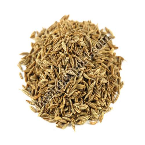 Cumin seeds, for Cooking, Specialities : Good Quality