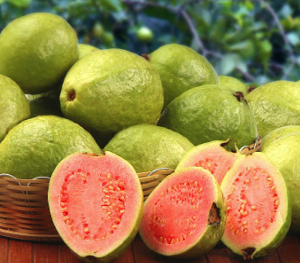 Natural Fresh Guava, Certification : FSSAI Certified